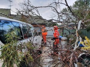 Widespread rain causes havoc