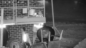 Police appeal for help