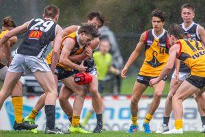 NAB League’s green light