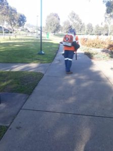 Gardener confused as council work goes on