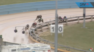 Alarm over greyhound racing death