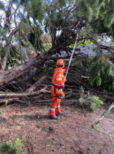 Couple’s fright after tree topples