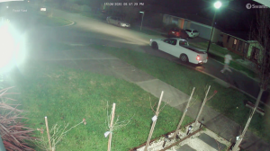 Caught on cam stealing garden lights