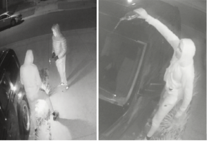 Police appeal after car fire