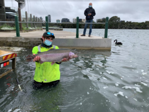 Stonkers stocked for fishing fun