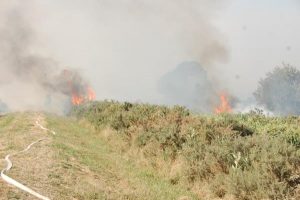 Cranbourne residents urged to prepare for grassfires