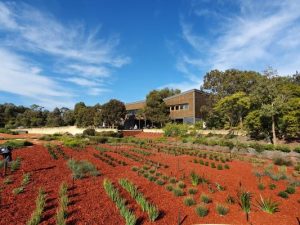 More funding for Cranbourne Gardens