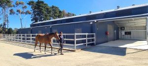 Grand opening for new equine facilities