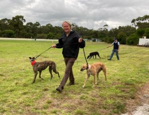 A great day for coursing