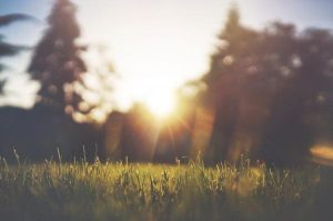 Have your say on new parks
