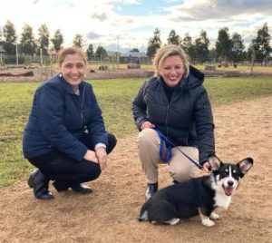 Pooches get pawfect place to play