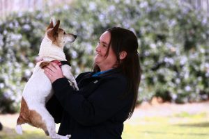 Concern at surrendered animal spike