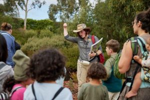 Virtual festival connects families to nature