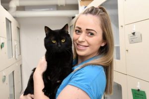 Caution calls on adoption numbers