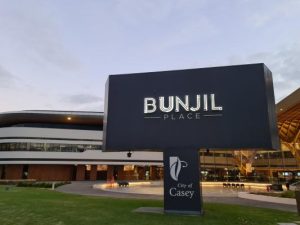 Council adopts strategies