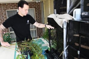 Protecting Australian wildlife