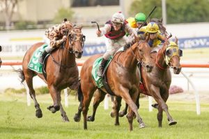 Off and racing with the Cranbourne Turf Club