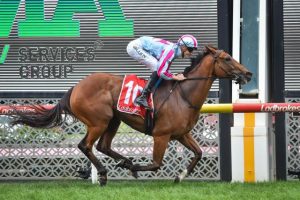 Cranbourne Turf Club…The inside word from the track
