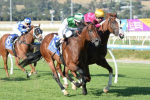 Speediness trainer back in the spotlight