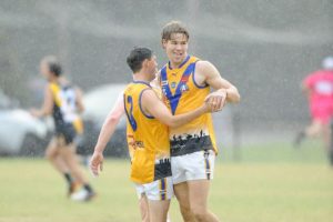 Determined Dees mimicking premiers