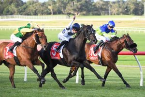 Super six for Maher-Eustace camp
