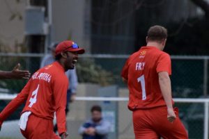 A winning summer for Swans
