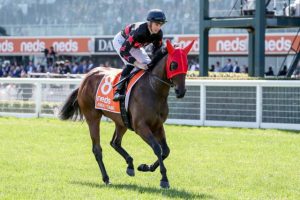 Cranbourne trainers bring Away Game