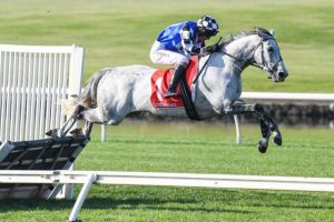 Saunter Boy goes back-to-back