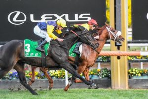 Errant Arran takes the next step