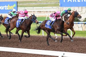 Locals clean up at Pakenham