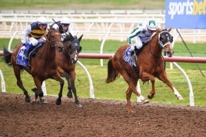 Synthetic season a huge success