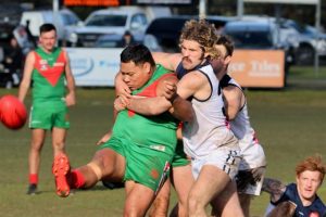 Seagulls surge to victory