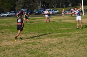 Big win for Doves, Redbacks stumble