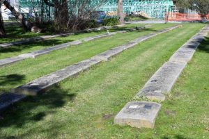 Pearcedale pet plots move pawsed