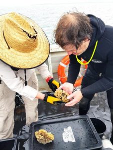 ‘Significant environmental merit’: Campaign supported