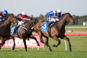 Blood to trickle in Cox Plate