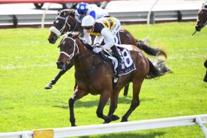 Aesop a star on the rise
