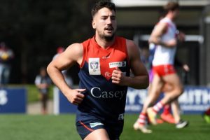 Locals within VFL premiership