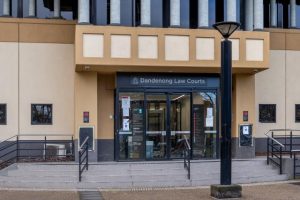 Accused cat-converter thief faces jail