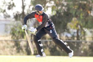 Cobras look to pounce