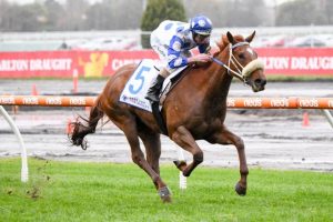 Moody to Boogie in the Guineas
