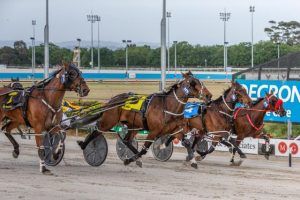 Harness racing club walking on water