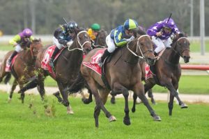 Uncle unleashes in Sale Cup