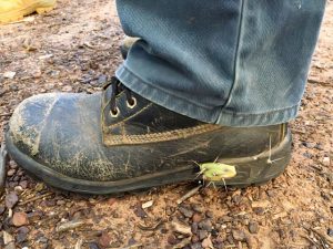 Kickstarting biosecurity practices