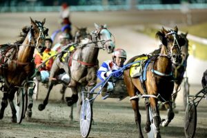 Group-1 status for Cranbourne Pacing Cup