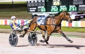 Major the Meister of Cranbourne