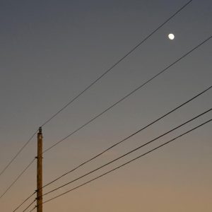 Powerline clearance breach in Narre Warren