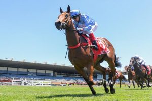 South East dominance at Sandown