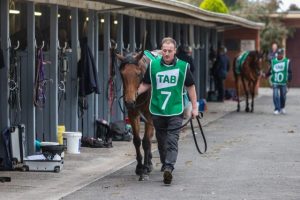 Cranbourne harnessing its potential