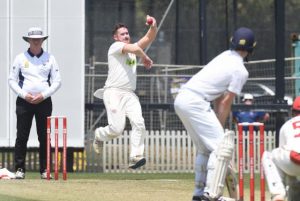 Red ball brings the right results in Premier Cricket